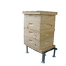 10 Frame 6 5/8" Growing Apiary Kit,Z533, Mann Lake Ltd.