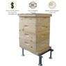 10 Frame 6 5/8" Growing Apiary Kit,Z533, Mann Lake Ltd.