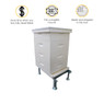 10 Frame 6 5/8" Growing Apiary Kit,Z533, Mann Lake Ltd.