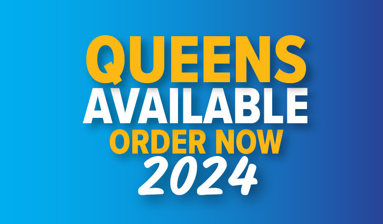 Live Queens Available