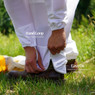 ProVent Beekeeping Suit,Z330, Mann Lake Ltd.